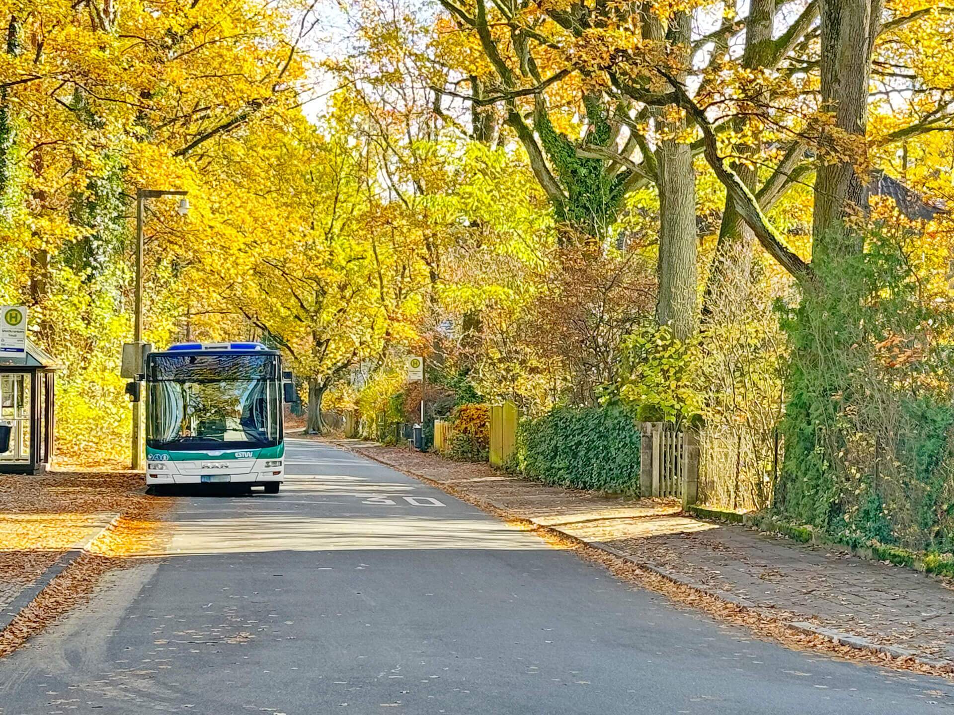 Erlangen-Burgberg-1