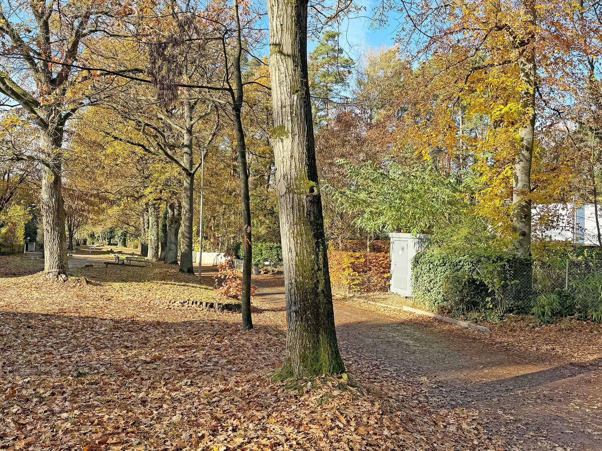 Erlangen-Burgberg-3