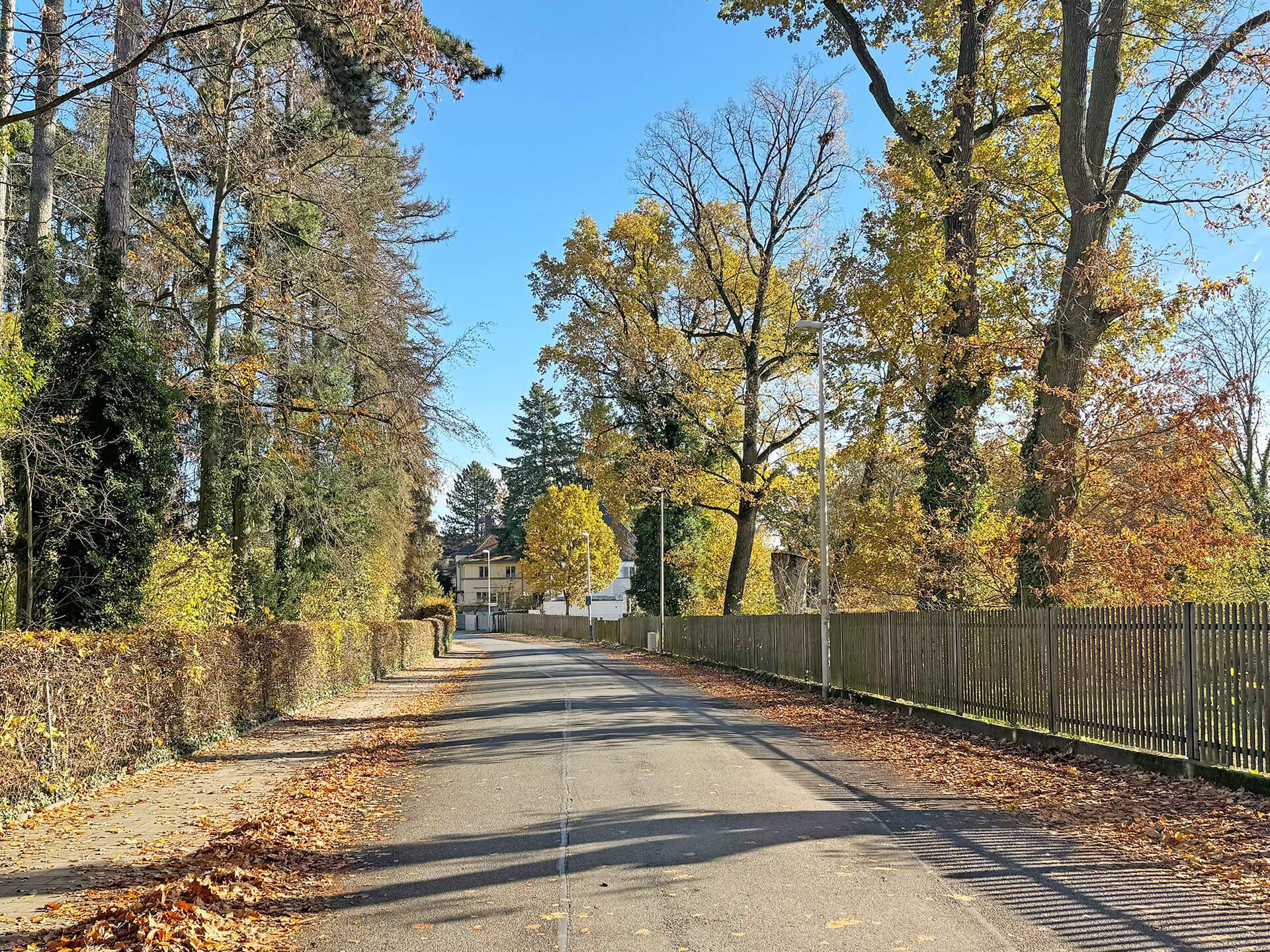 Erlangen-Burgberg-4