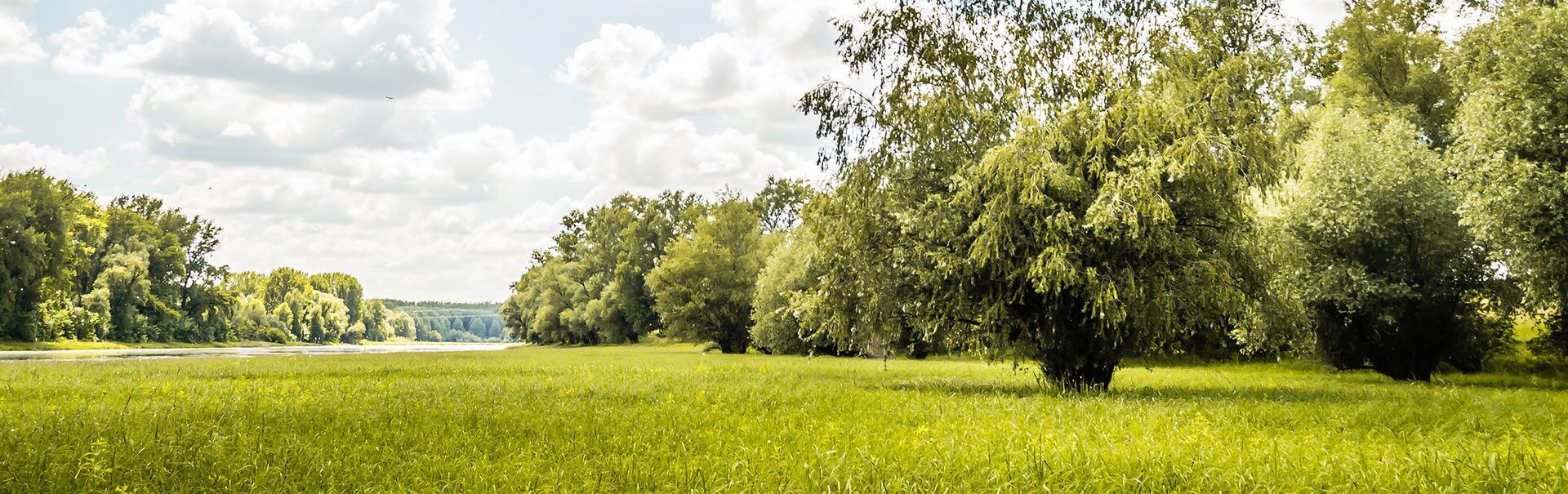 Grundstück und Bodenwerte