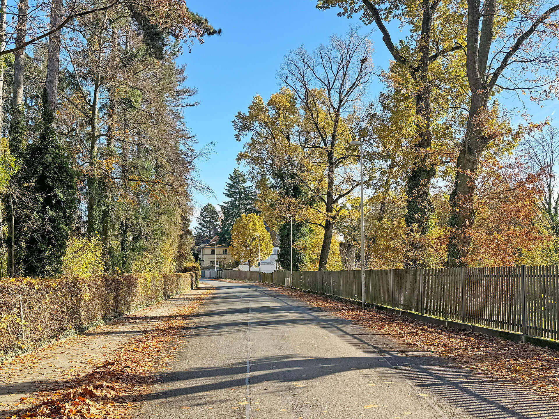 Erlangen-Burgberg-4