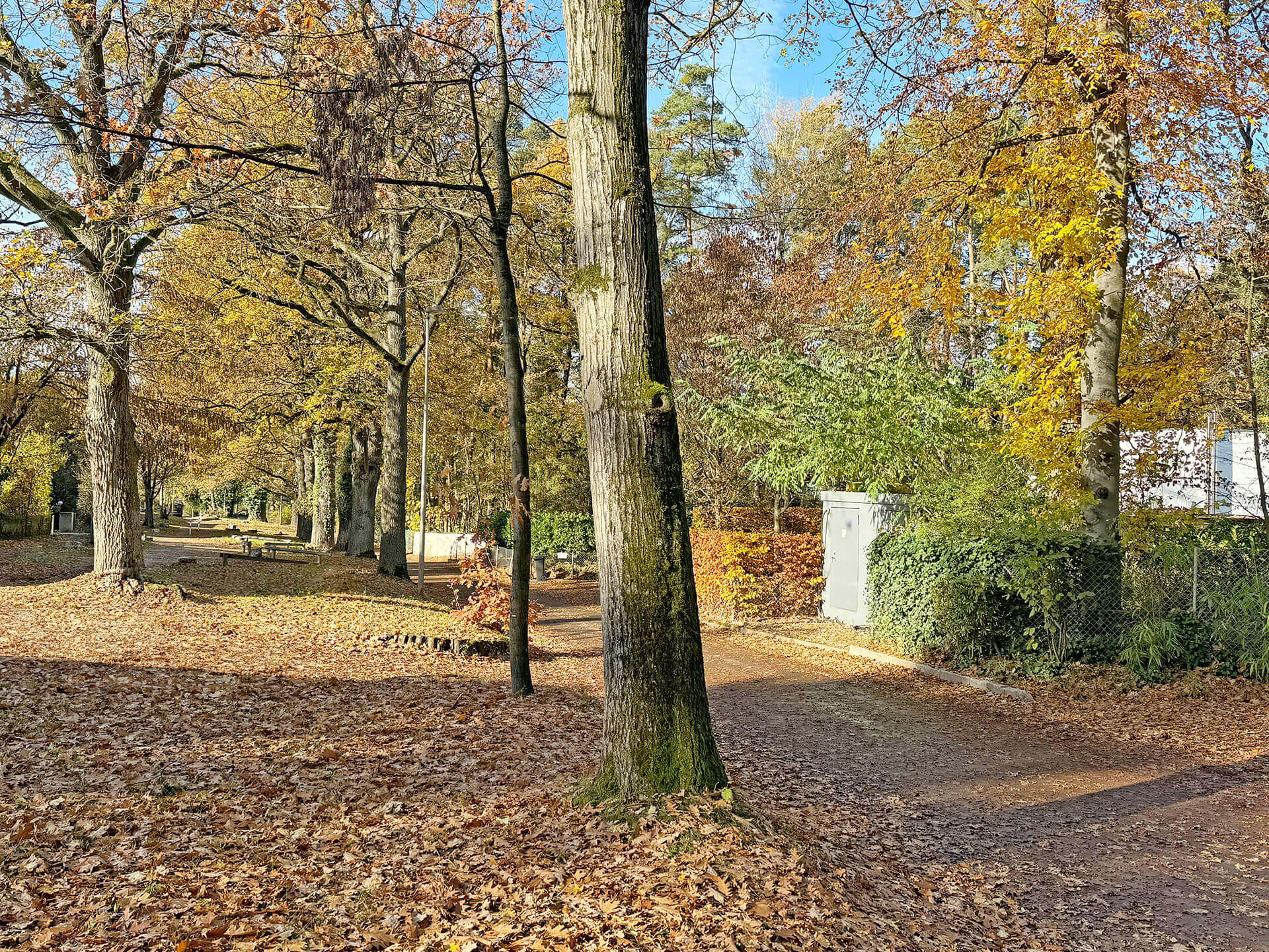 Erlangen-Burgberg-3