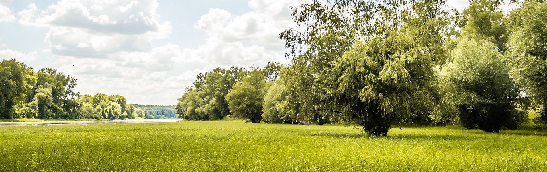 Grundstück und Bodenwerte